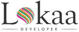 lokaa-developers-3970186.png